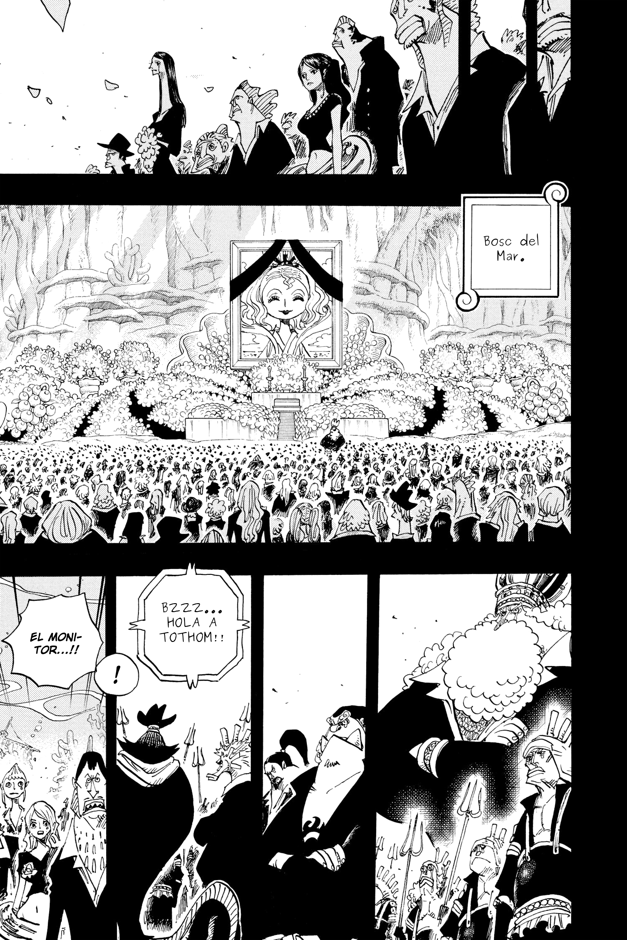 Read One Piece CAT Manga Online