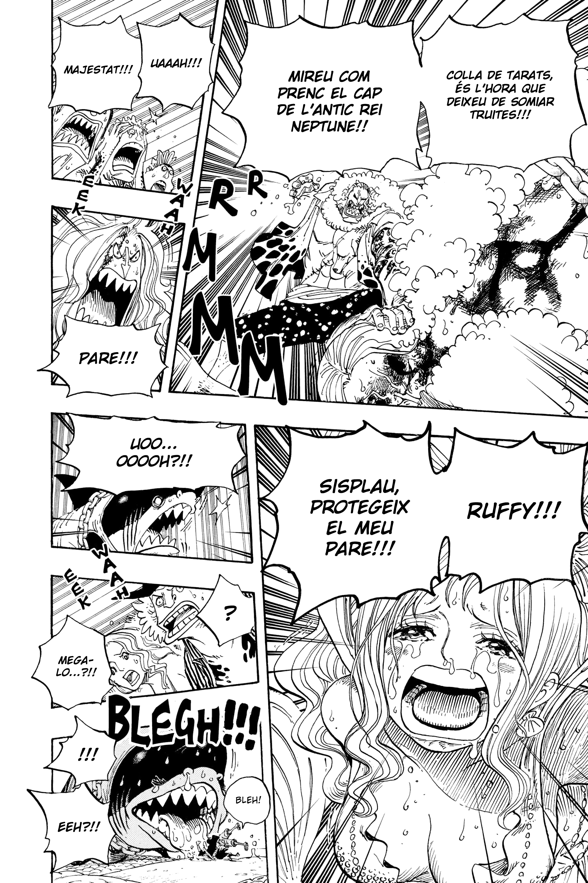 Read One Piece CAT Manga Online