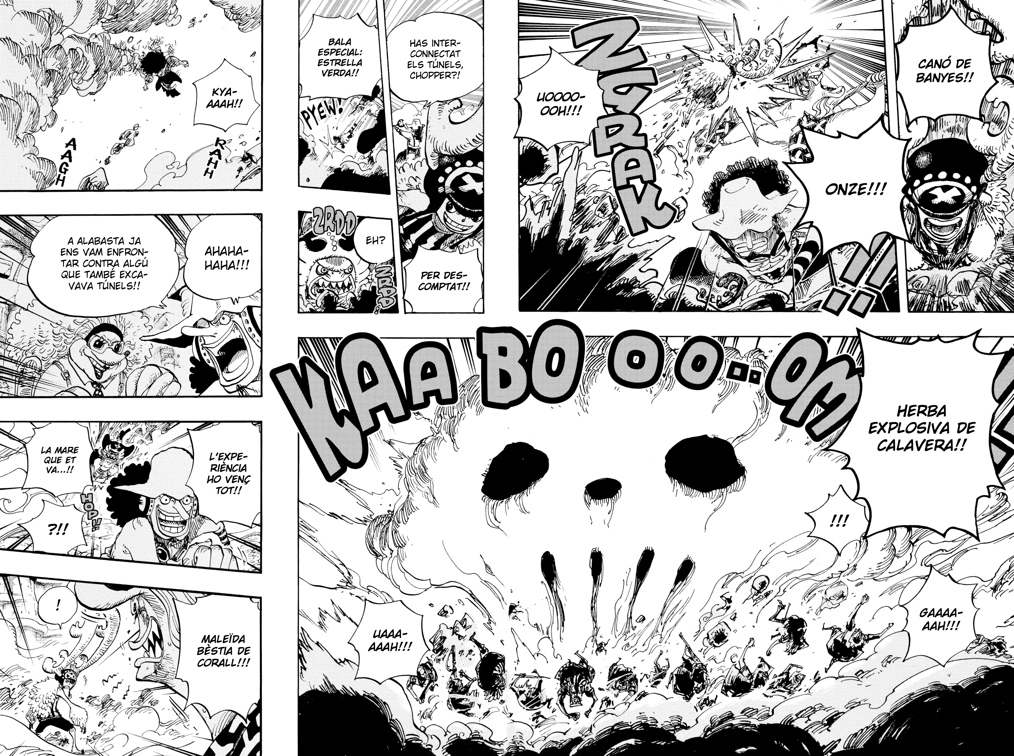 Read One Piece CAT Manga Online