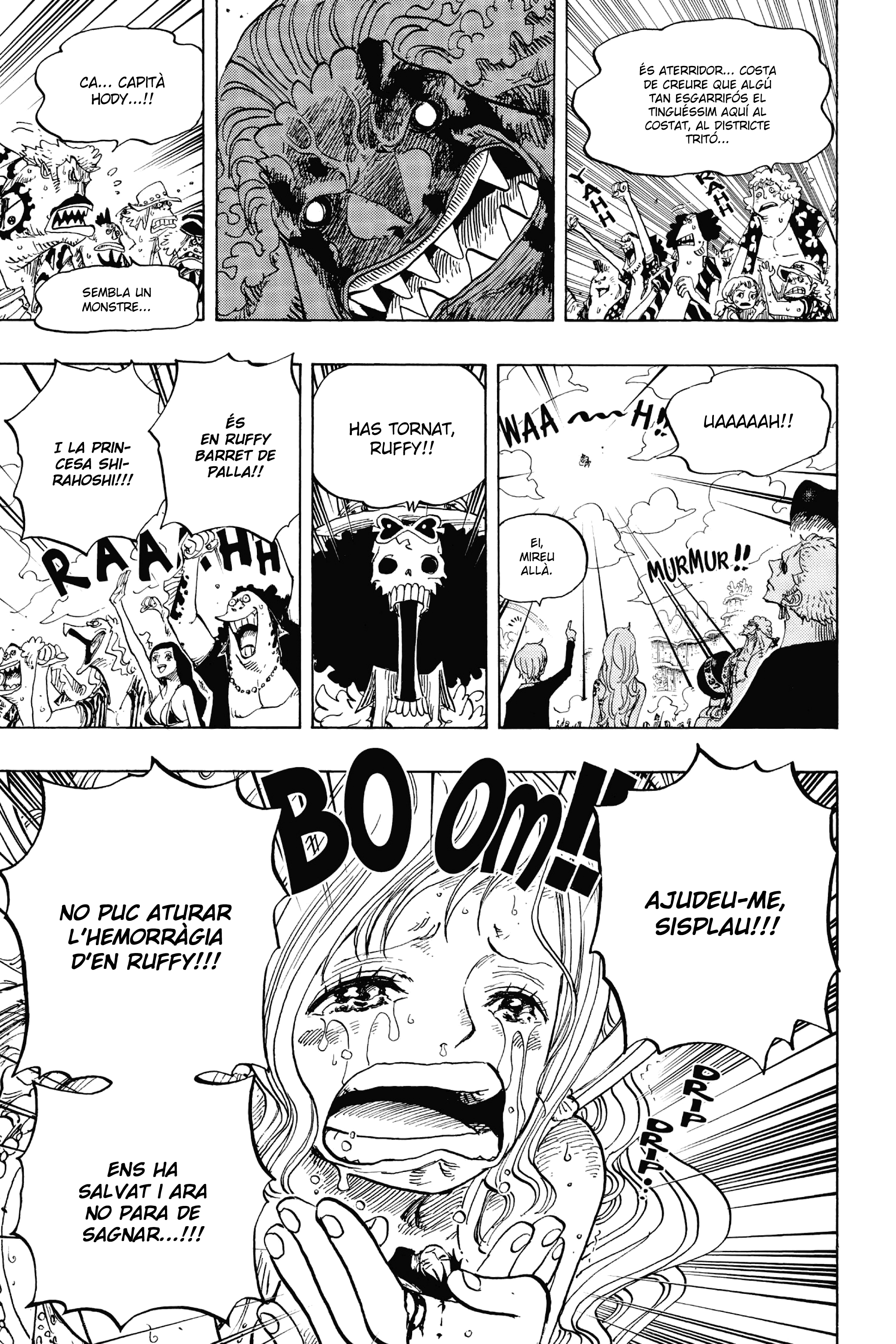 Read One Piece CAT Manga Online
