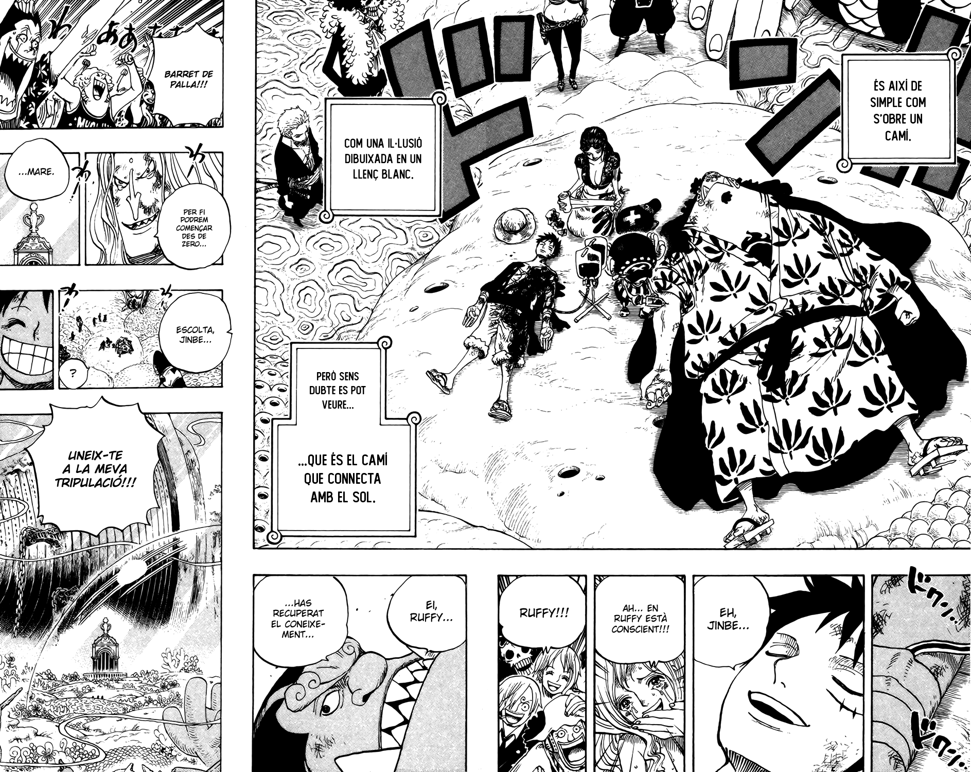 Read One Piece CAT Manga Online