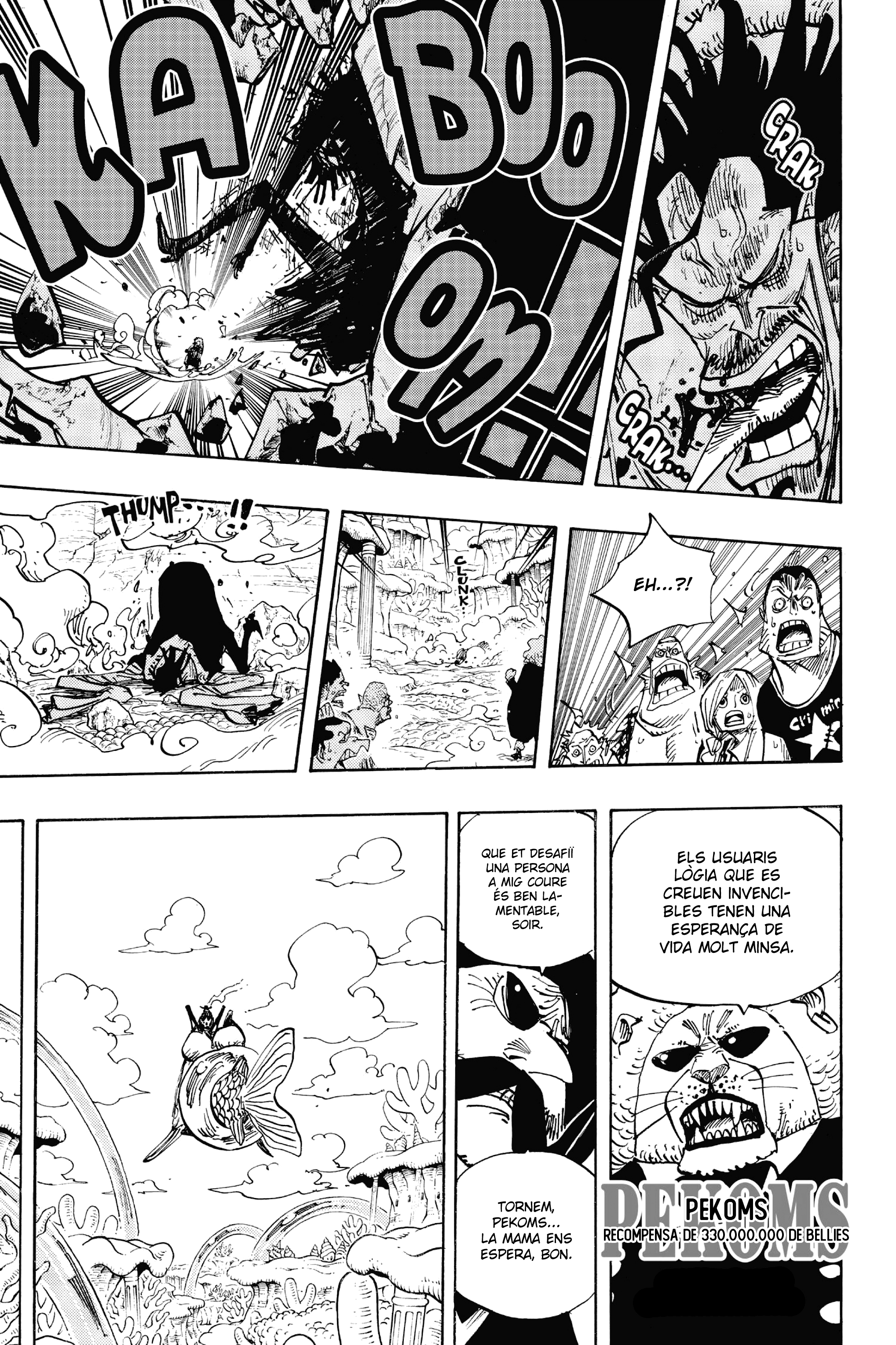 Read One Piece CAT Manga Online