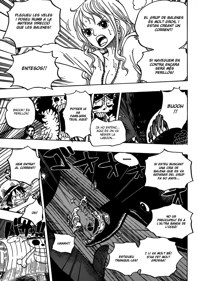 Read One Piece CAT Manga Online