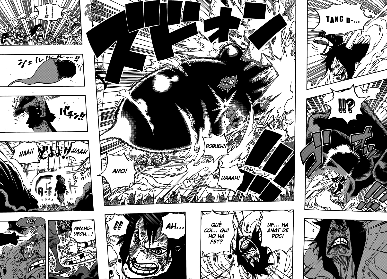 Read One Piece CAT Manga Online