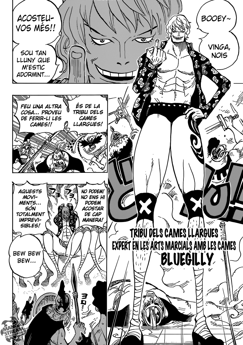 Read One Piece CAT Manga Online