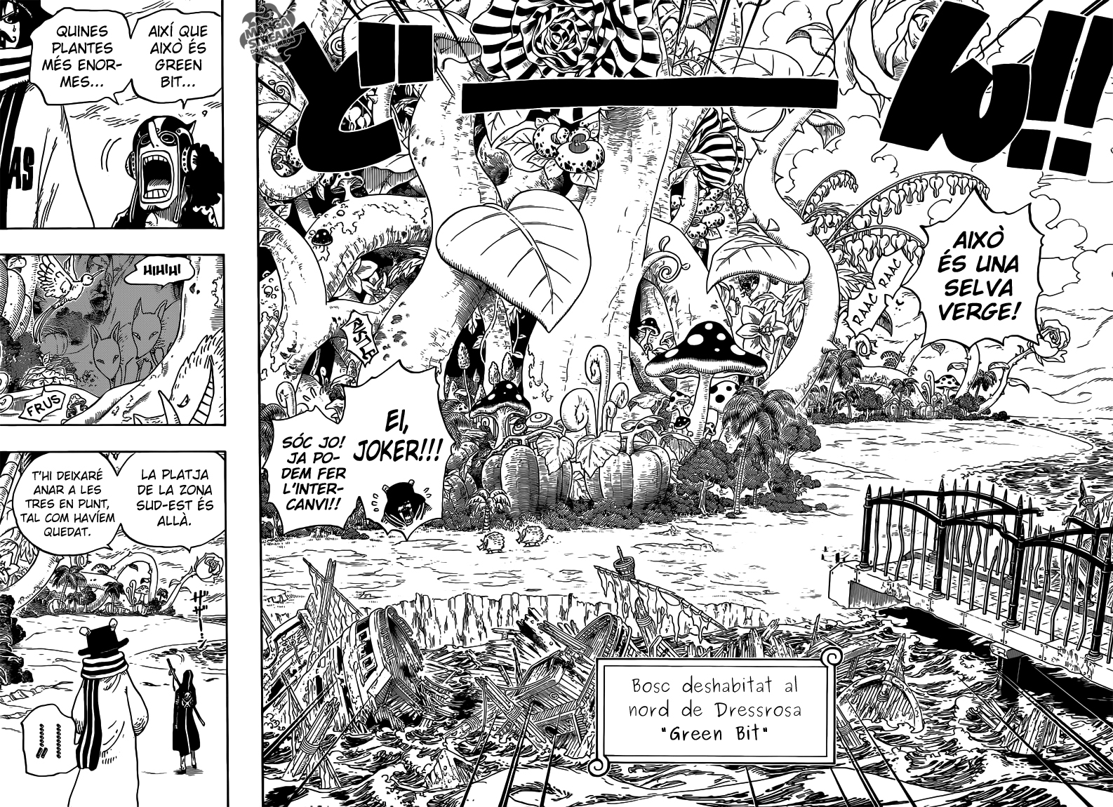 Read One Piece CAT Manga Online