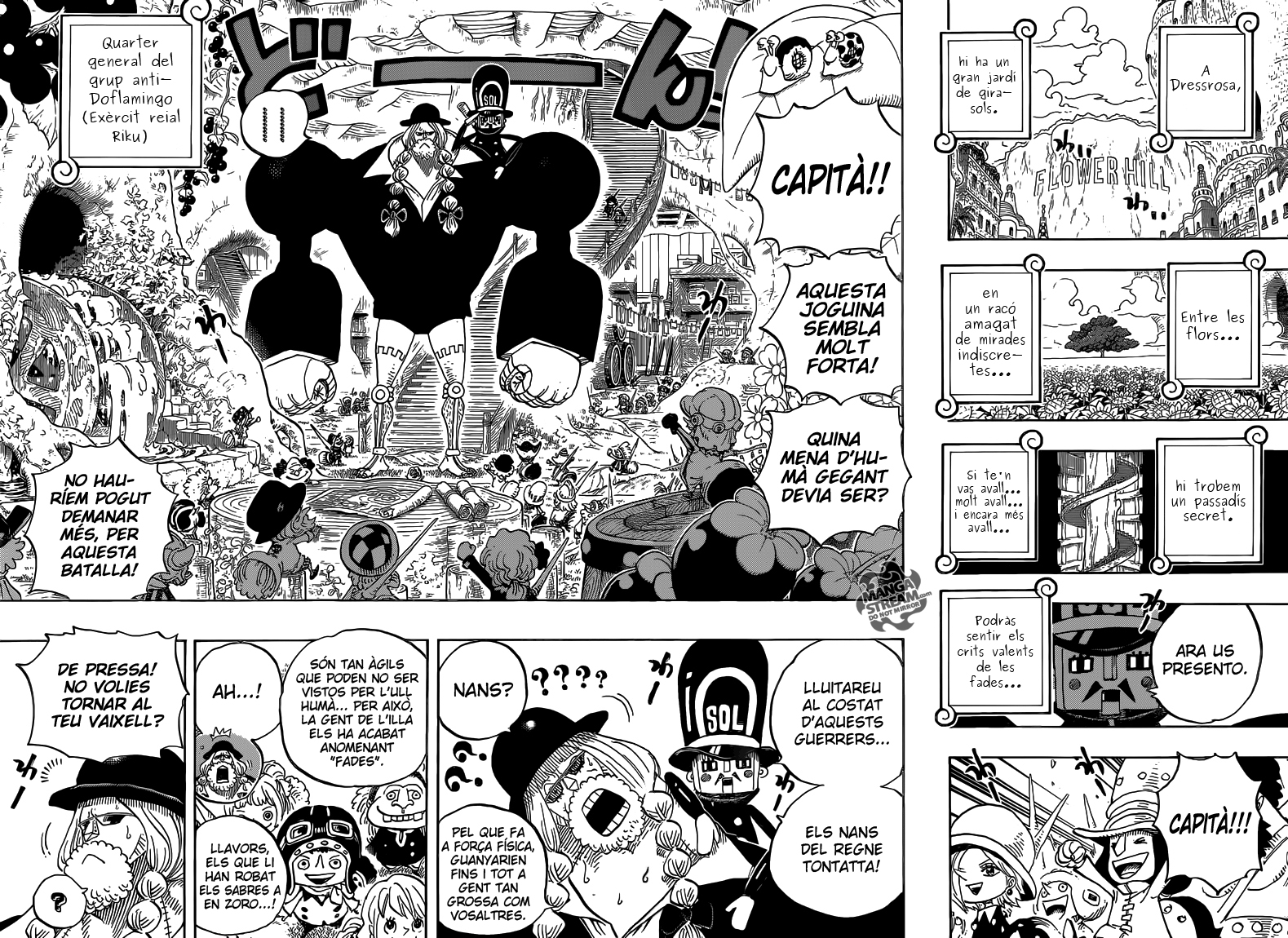 Read One Piece CAT Manga Online