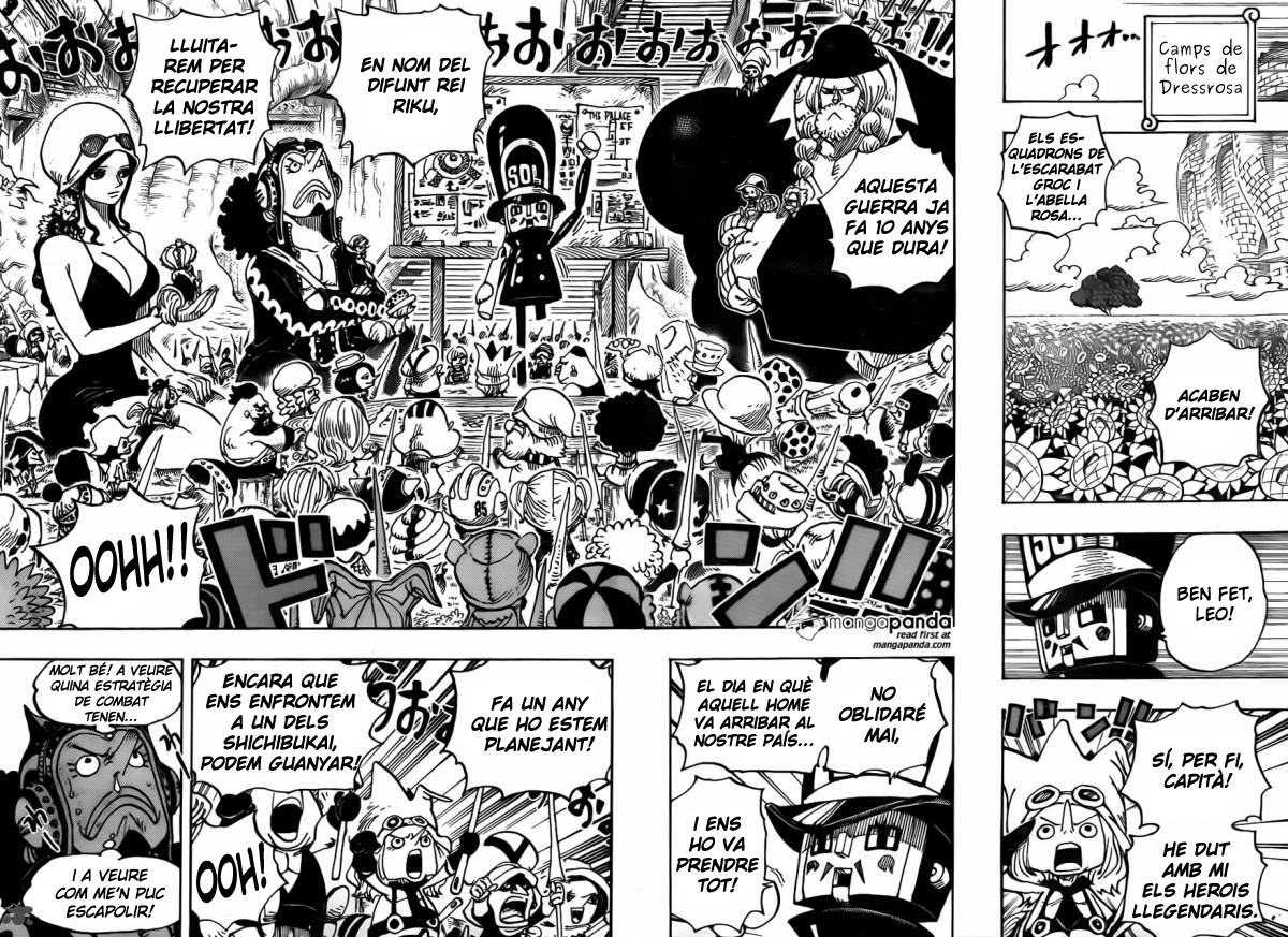 Read One Piece CAT Manga Online