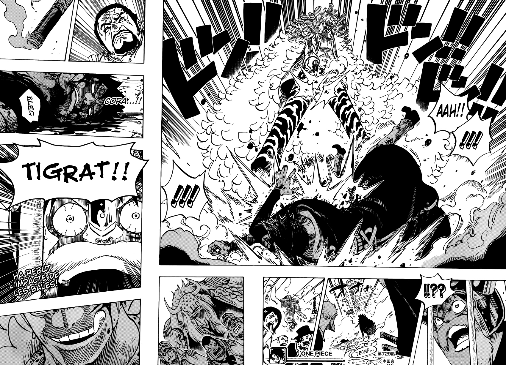 Read One Piece CAT Manga Online