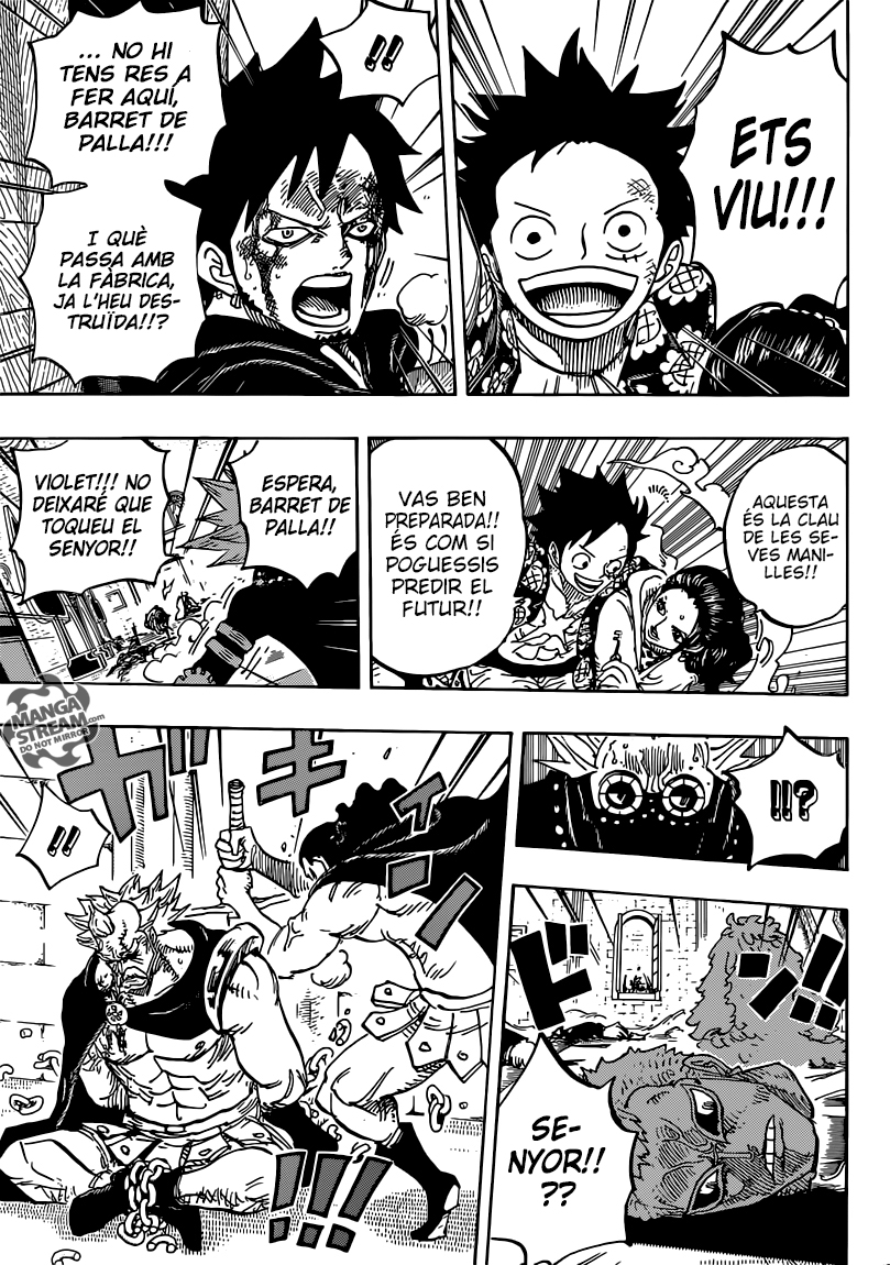 Read One Piece CAT Manga Online