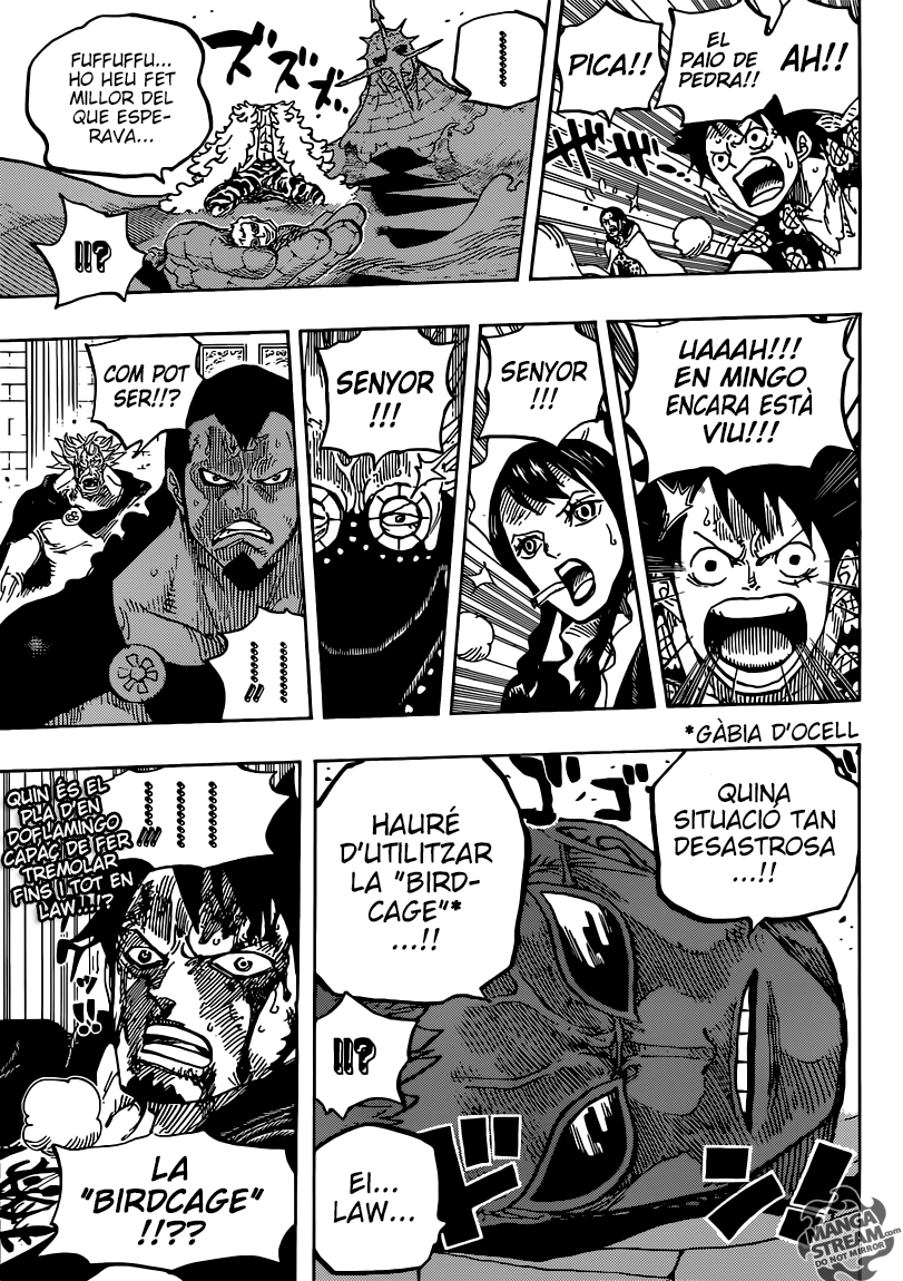 Read One Piece CAT Manga Online