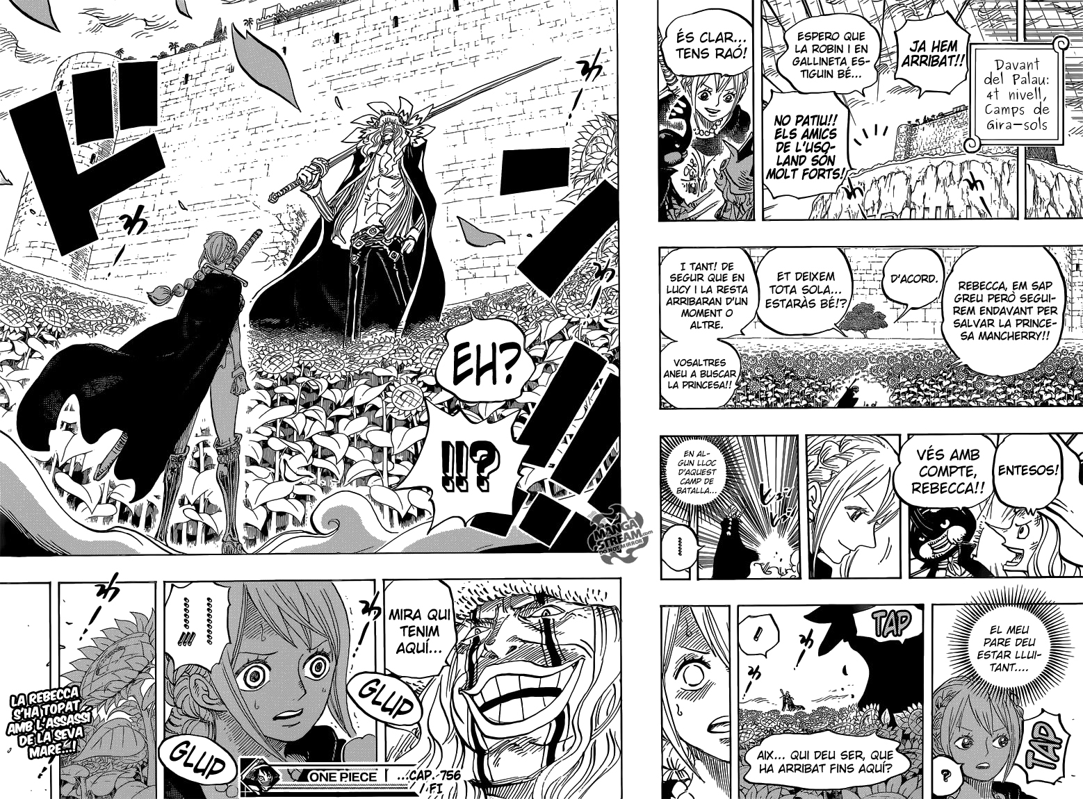 Read One Piece CAT Manga Online