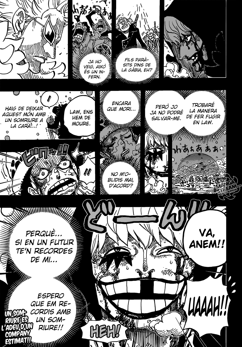 Read One Piece CAT Manga Online
