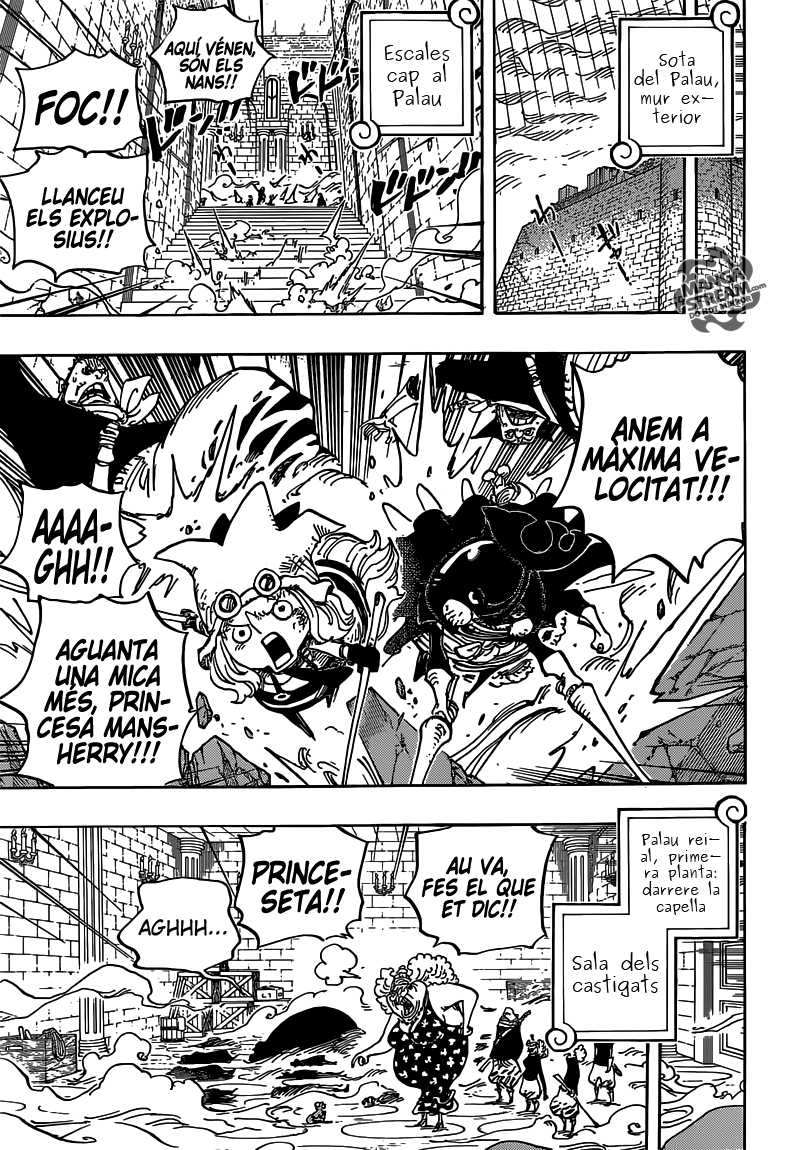 Read One Piece CAT Manga Online