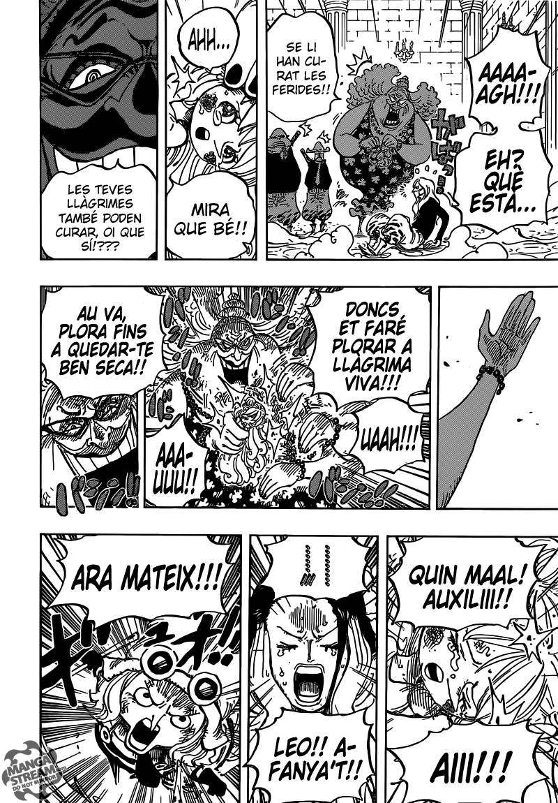 Read One Piece CAT Manga Online