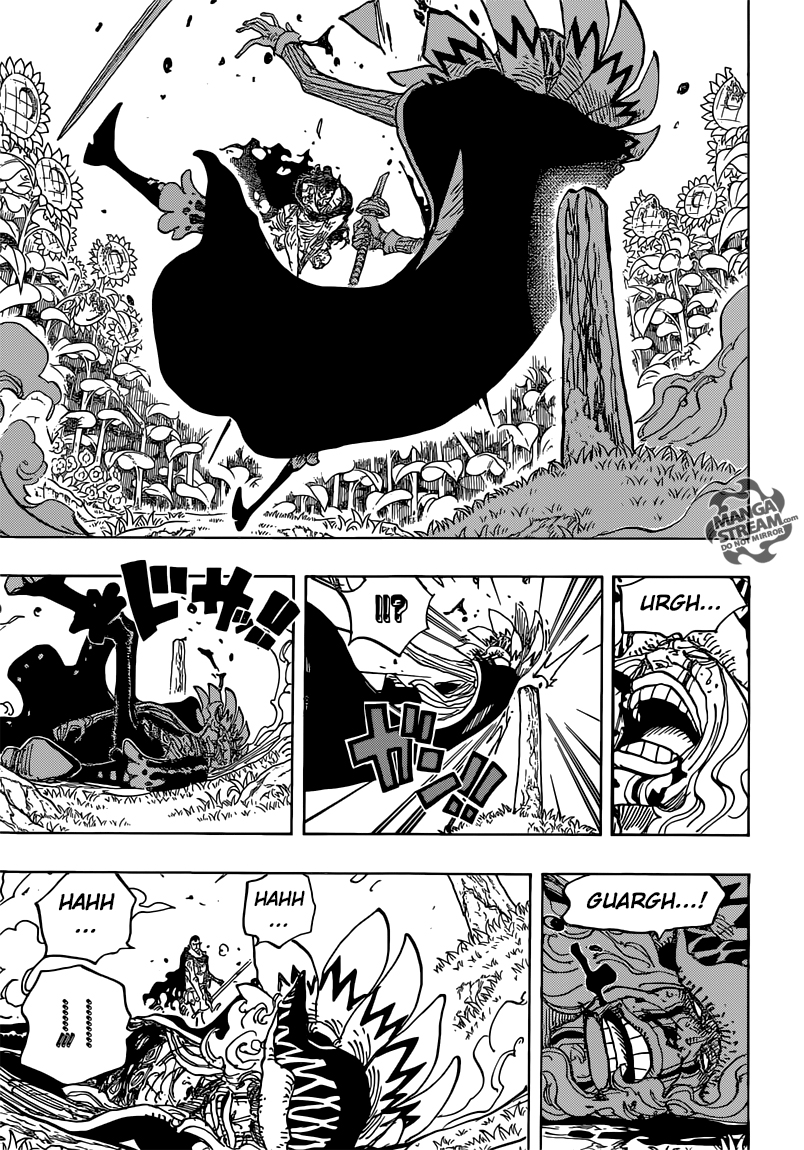Read One Piece CAT Manga Online