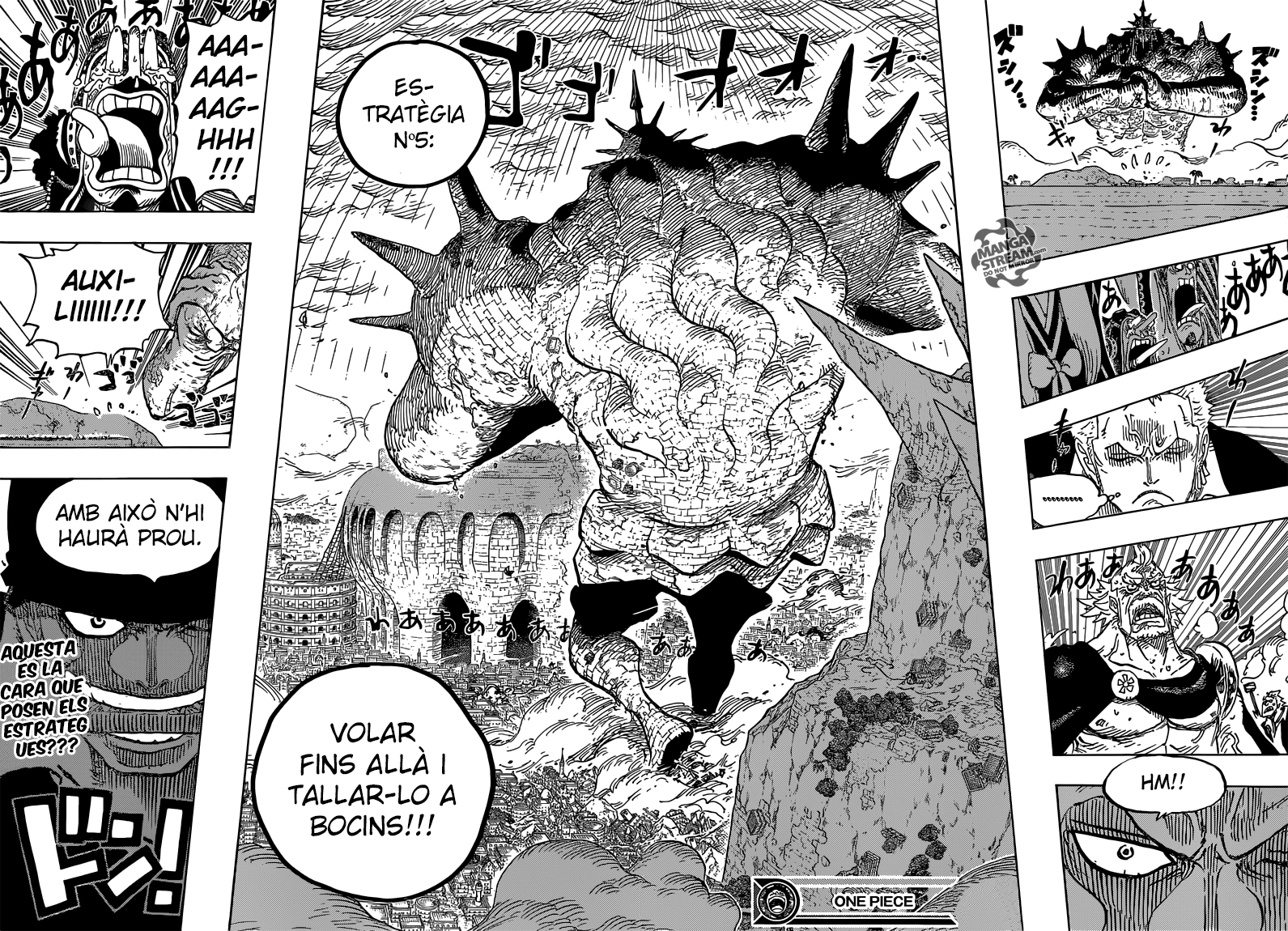 Read One Piece CAT Manga Online