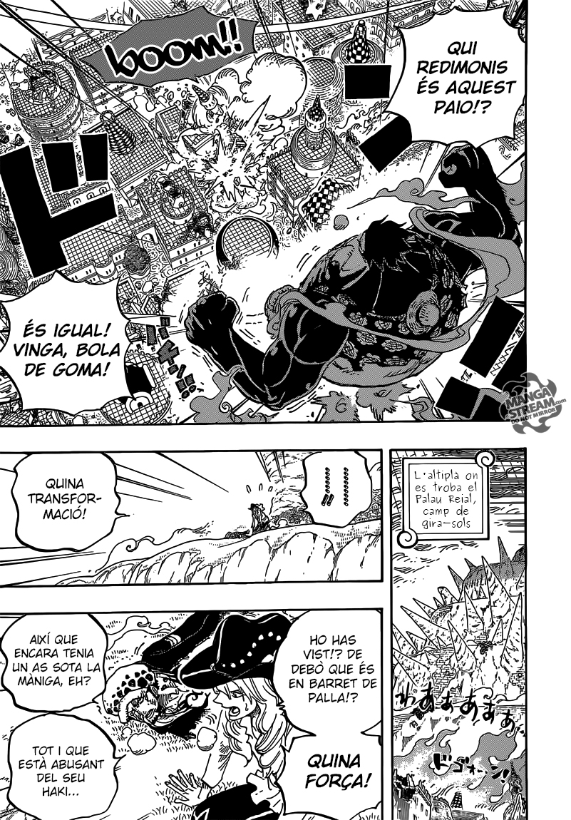 Read One Piece CAT Manga Online