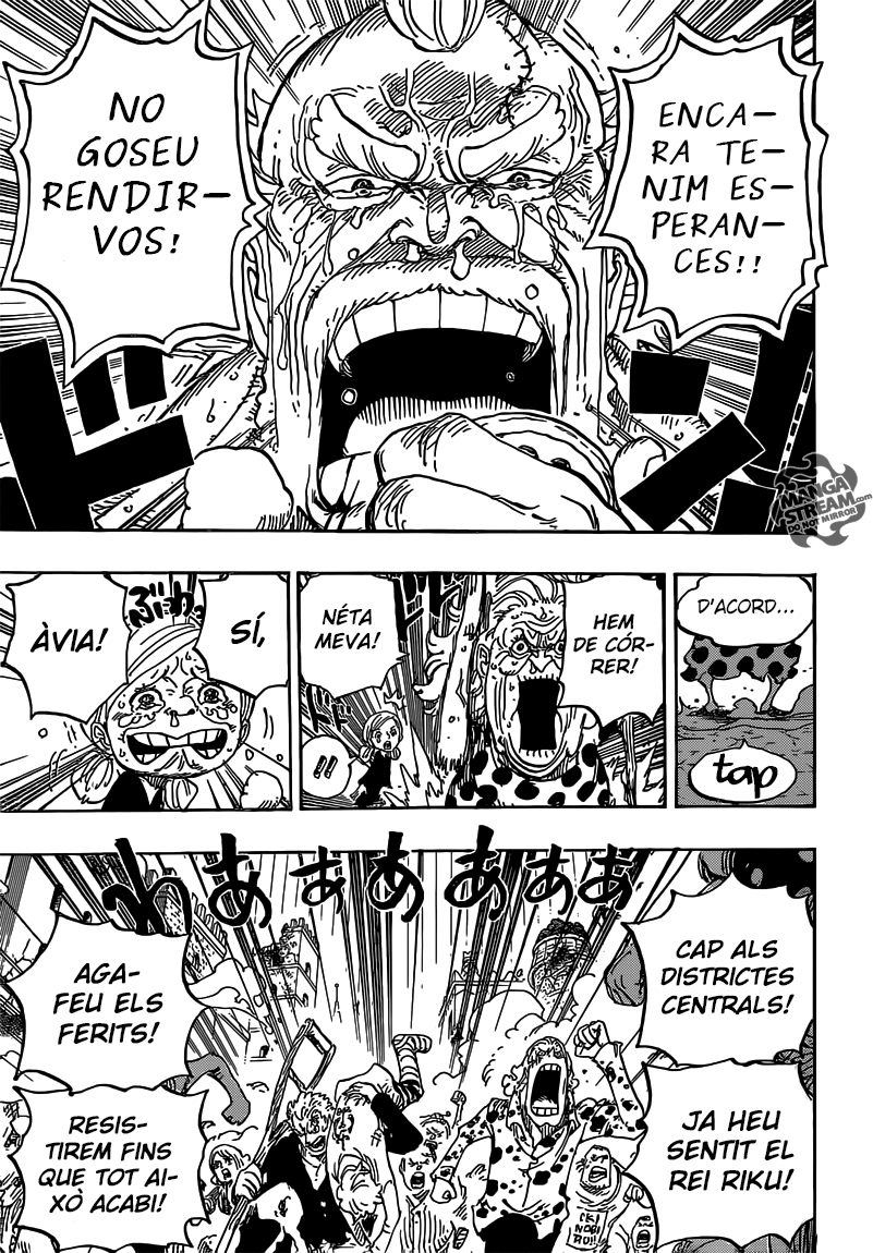 Read One Piece CAT Manga Online
