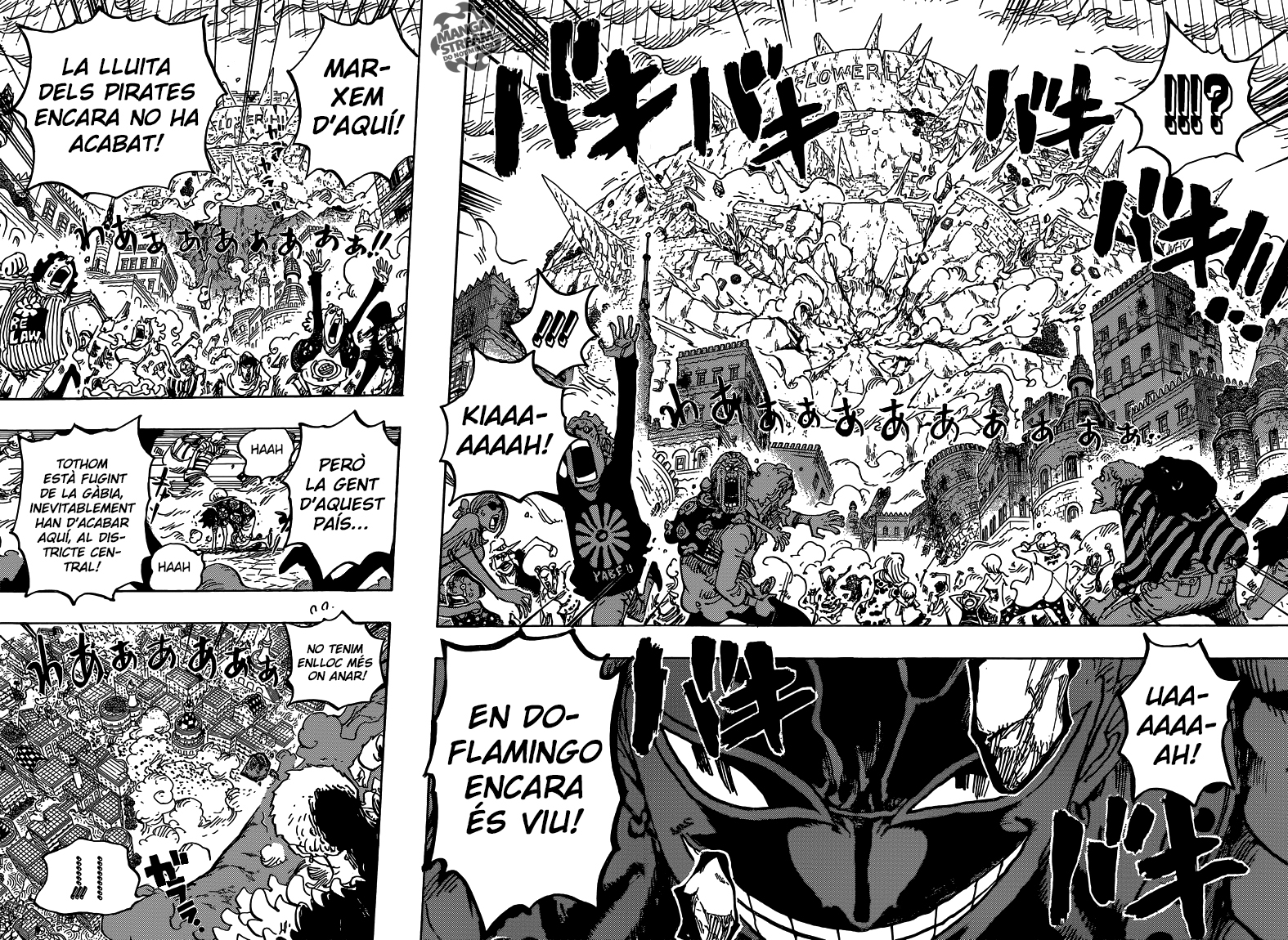 Read One Piece CAT Manga Online