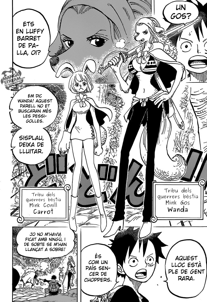 Read One Piece CAT Manga Online