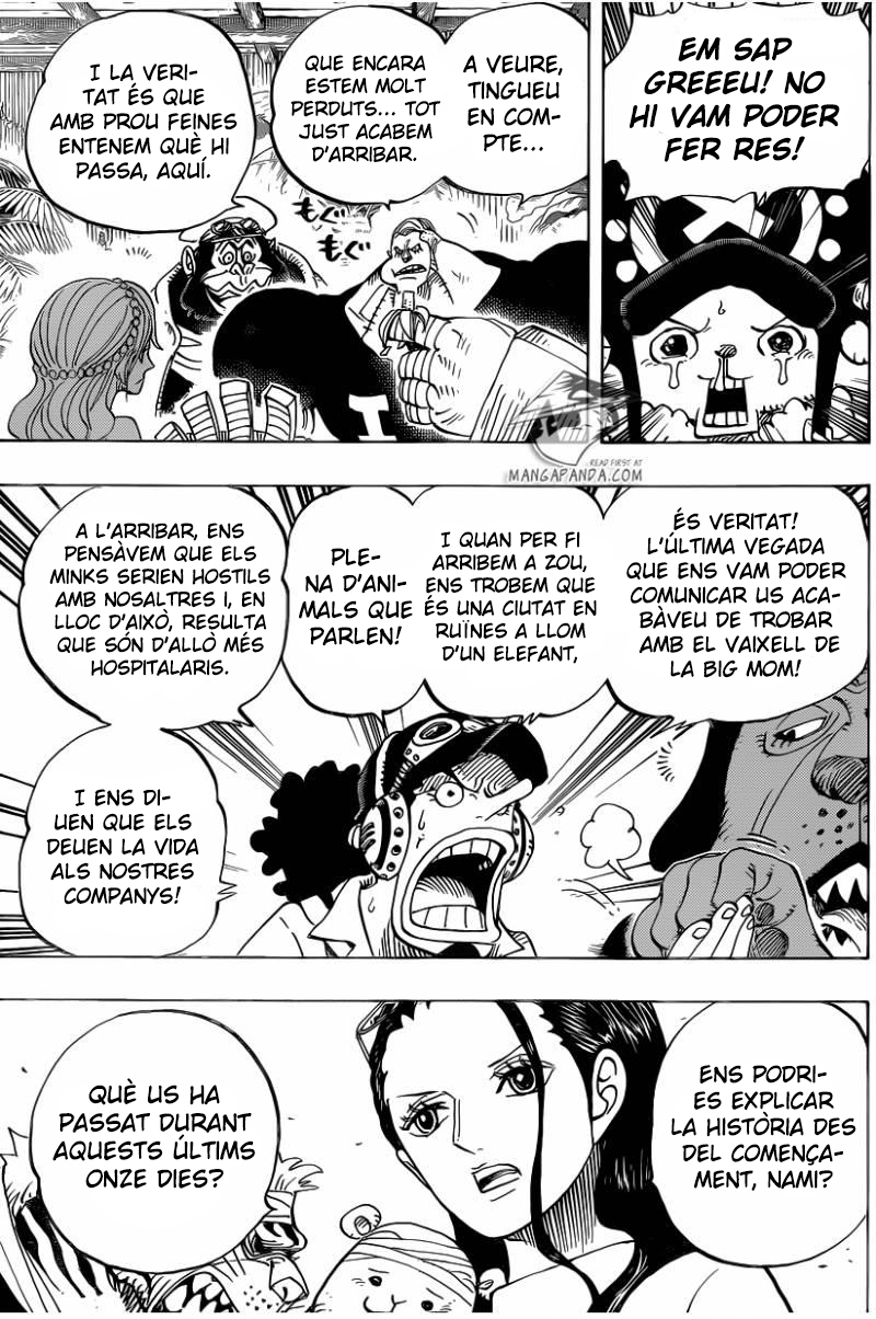 Read One Piece CAT Manga Online