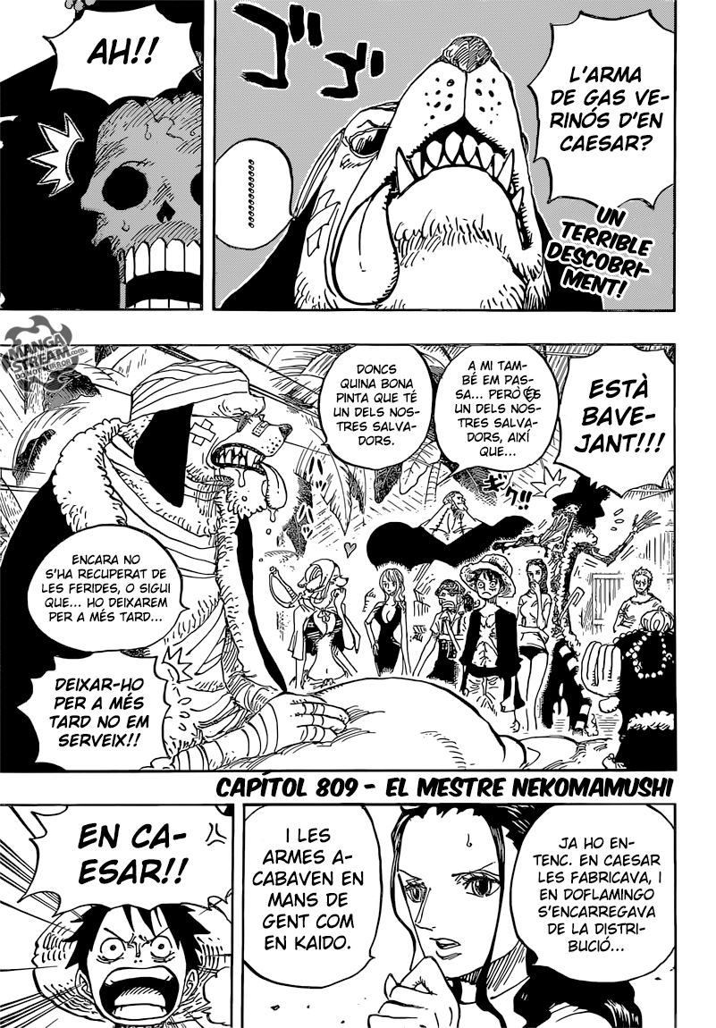 Read One Piece CAT Manga Online