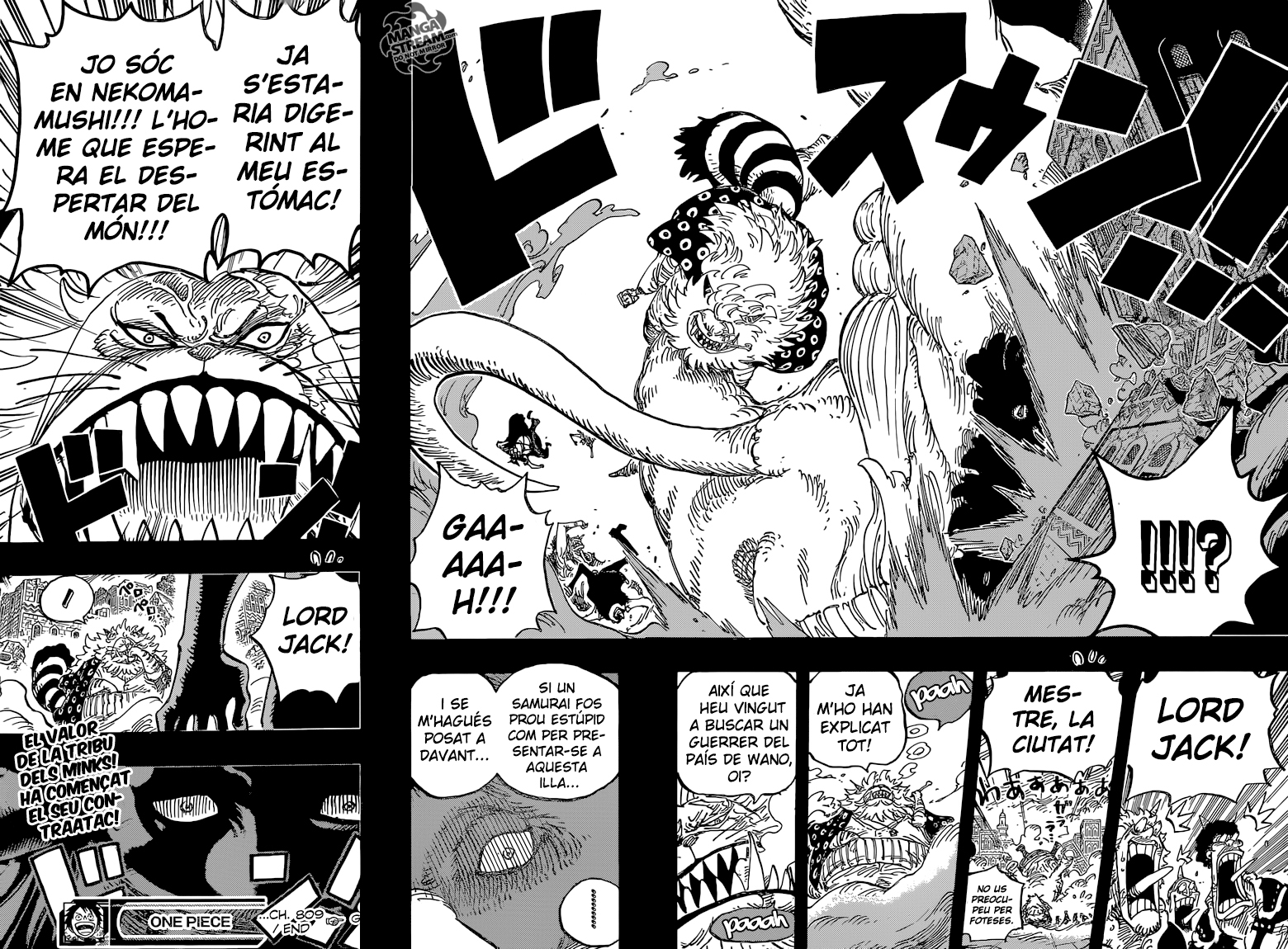 Read One Piece CAT Manga Online