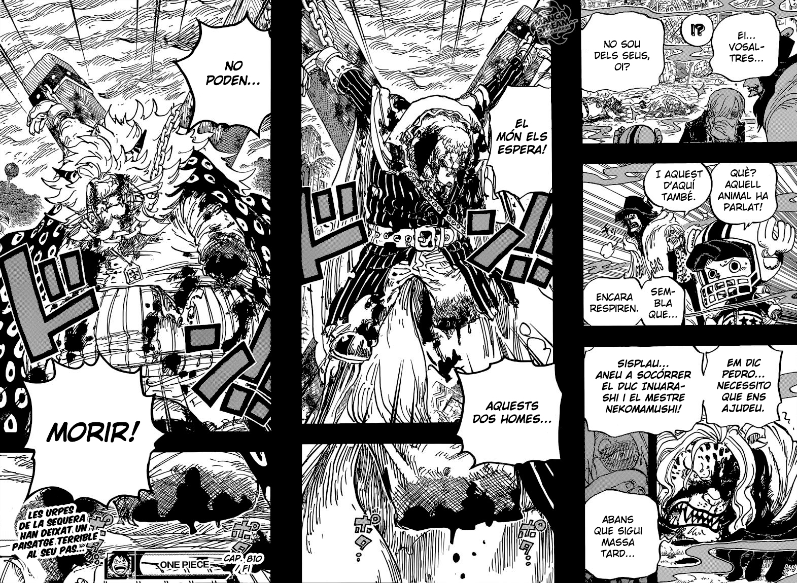 Read One Piece CAT Manga Online