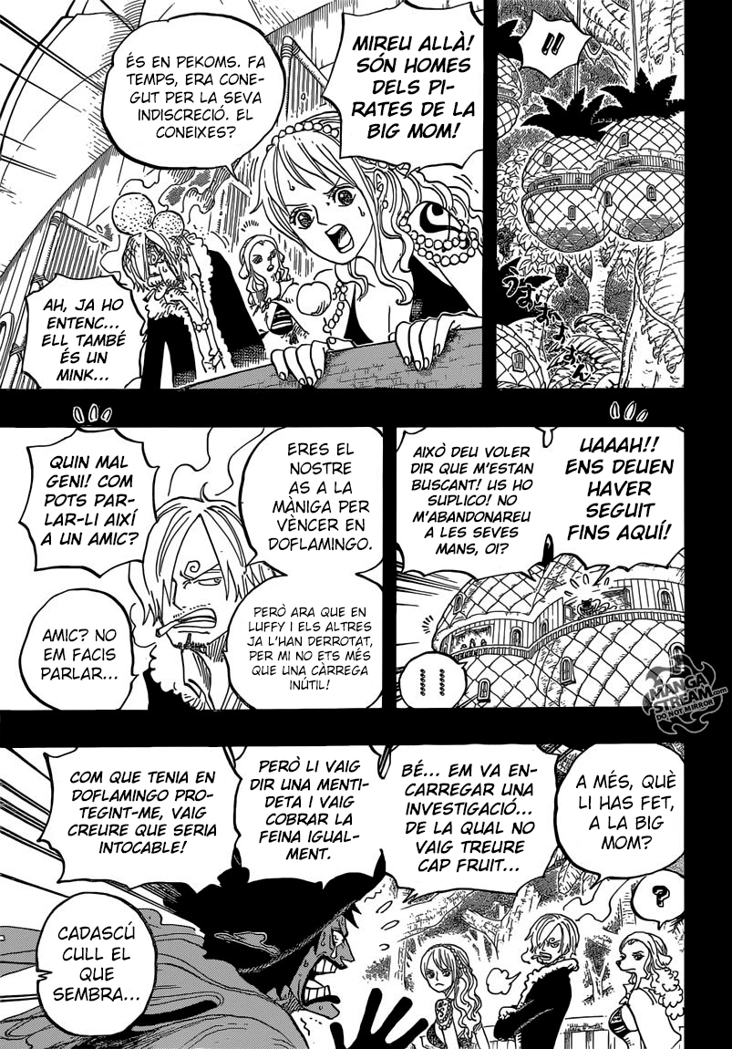 Read One Piece CAT Manga Online