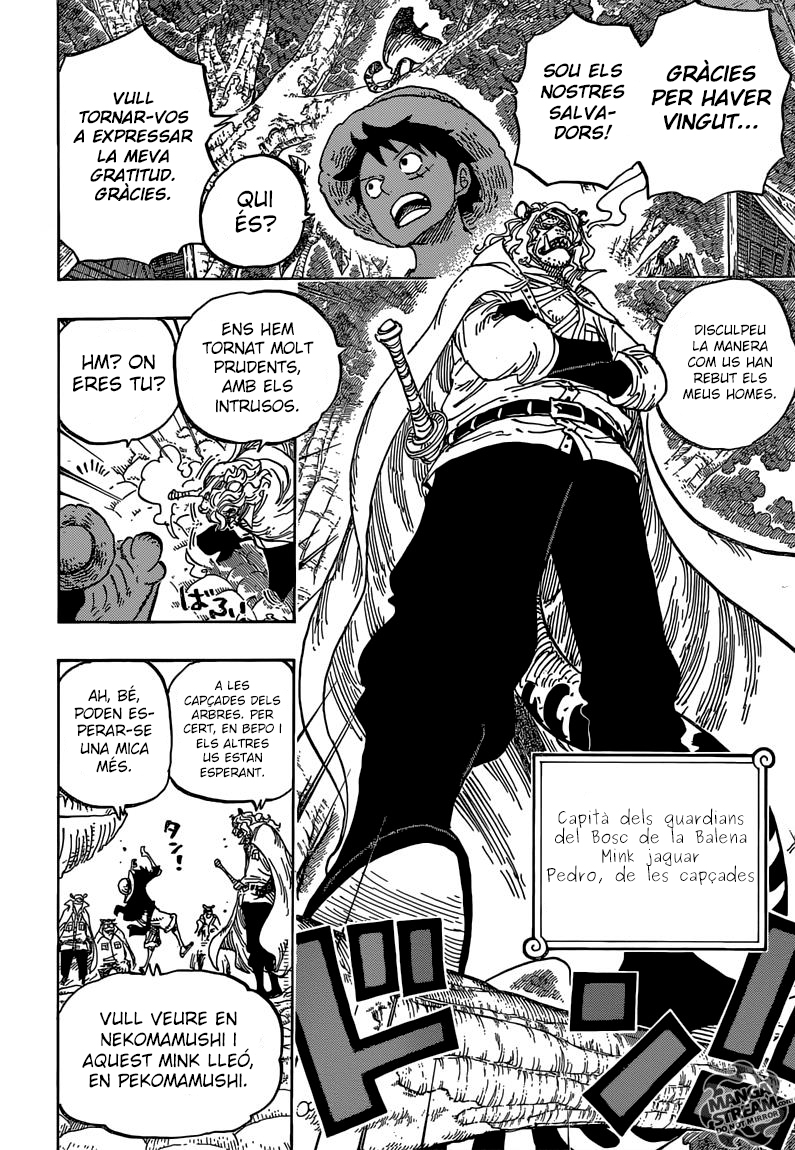 Read One Piece CAT Manga Online