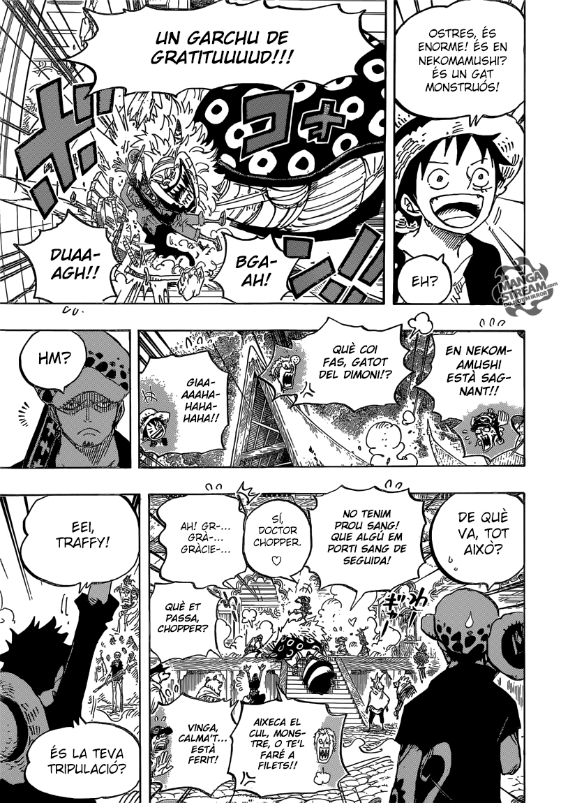 Read One Piece CAT Manga Online