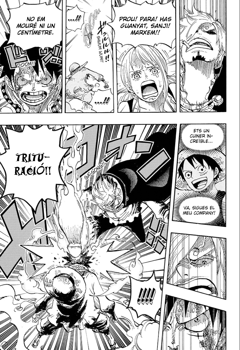 Read One Piece CAT Manga Online