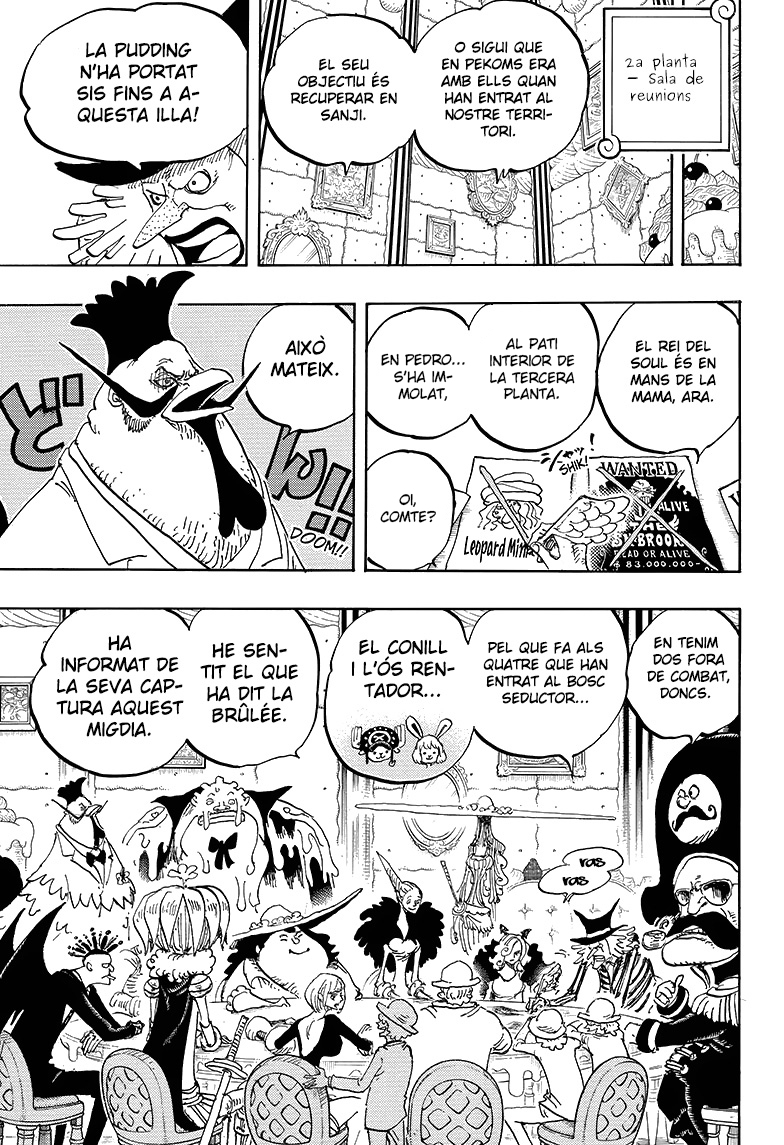 Read One Piece CAT Manga Online