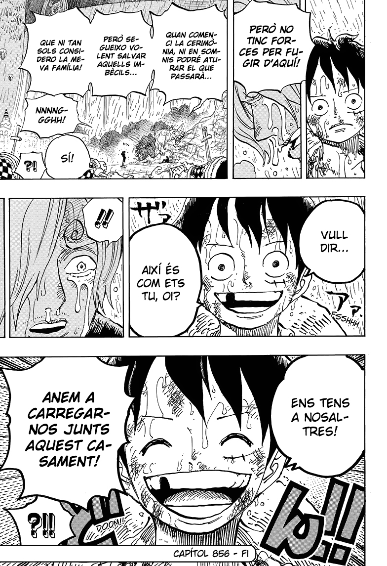 Read One Piece CAT Manga Online