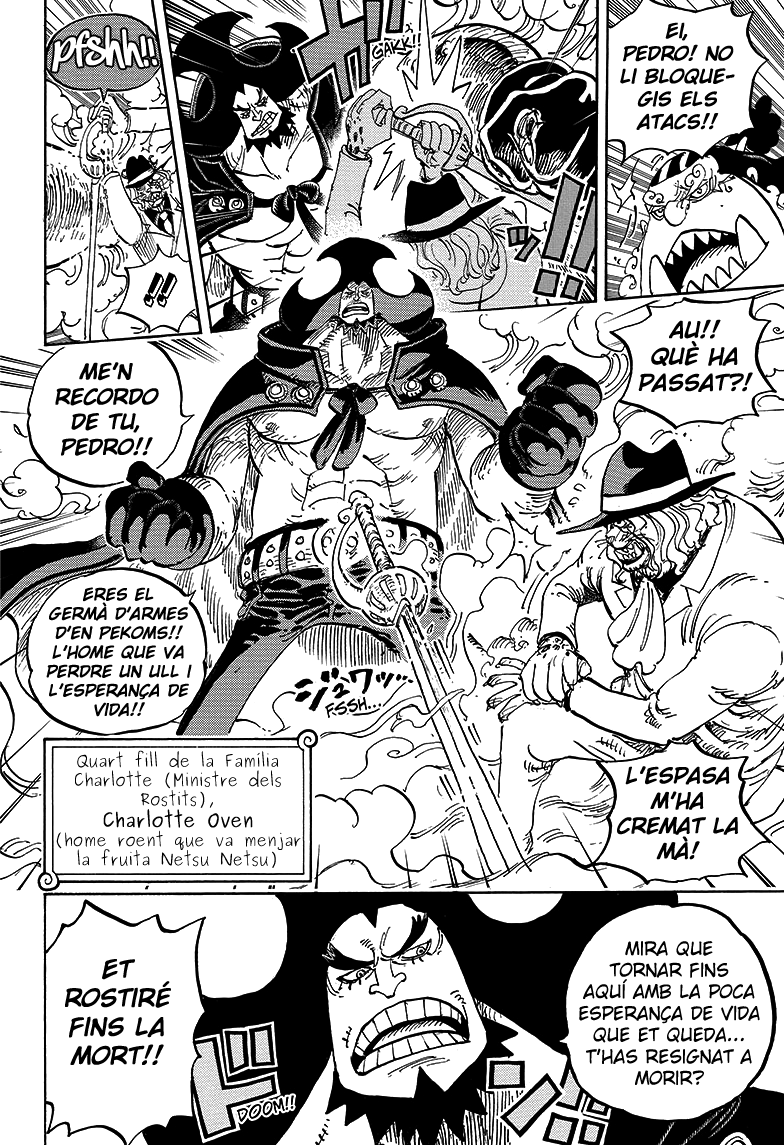 Read One Piece CAT Manga Online