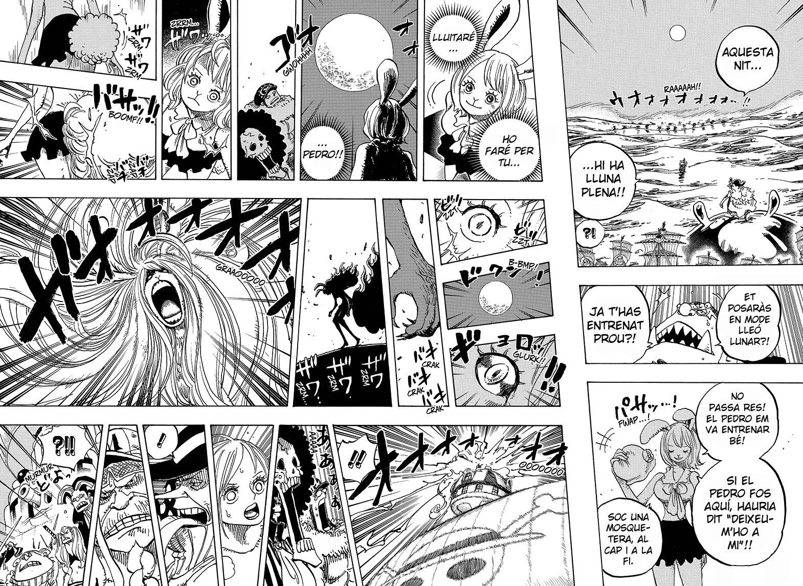Read One Piece CAT Manga Online