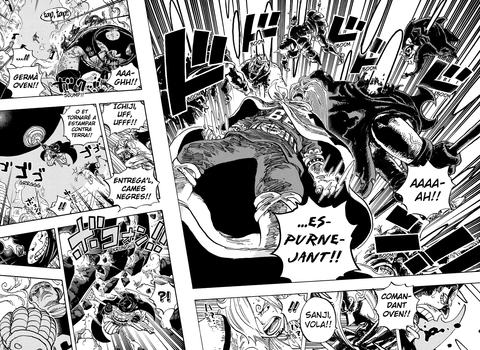Read One Piece CAT Manga Online