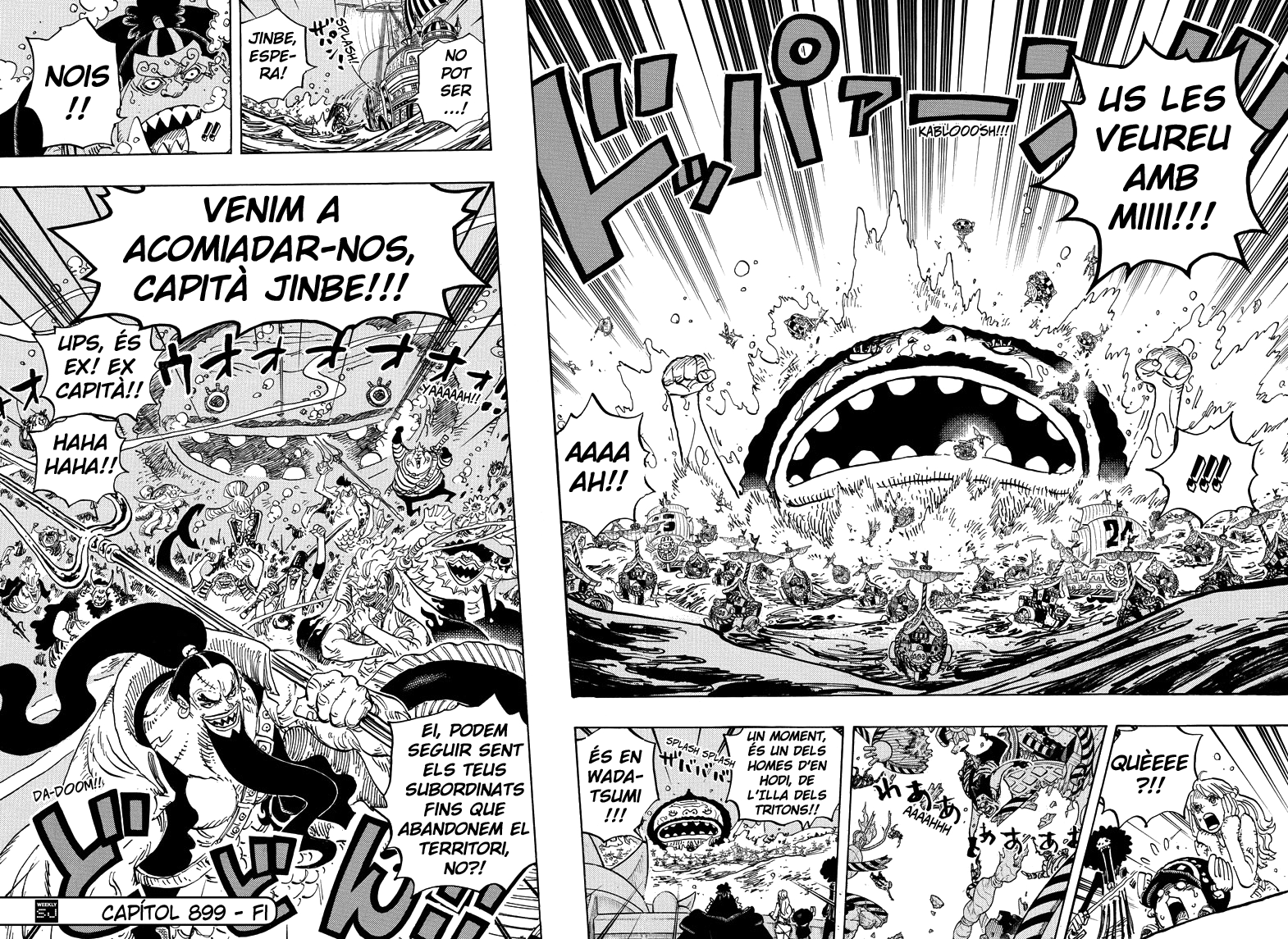 Read One Piece CAT Manga Online