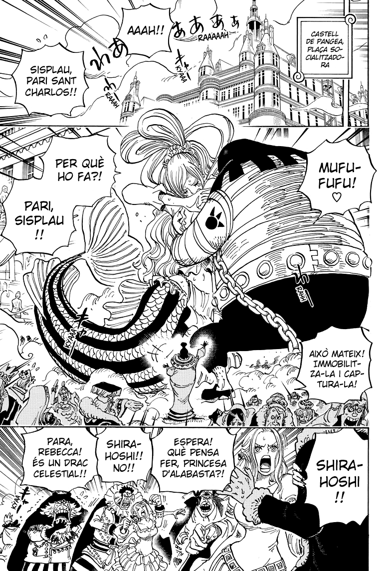 Read One Piece CAT Manga Online