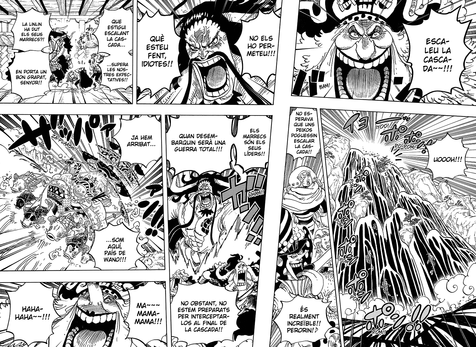 Read One Piece CAT Manga Online