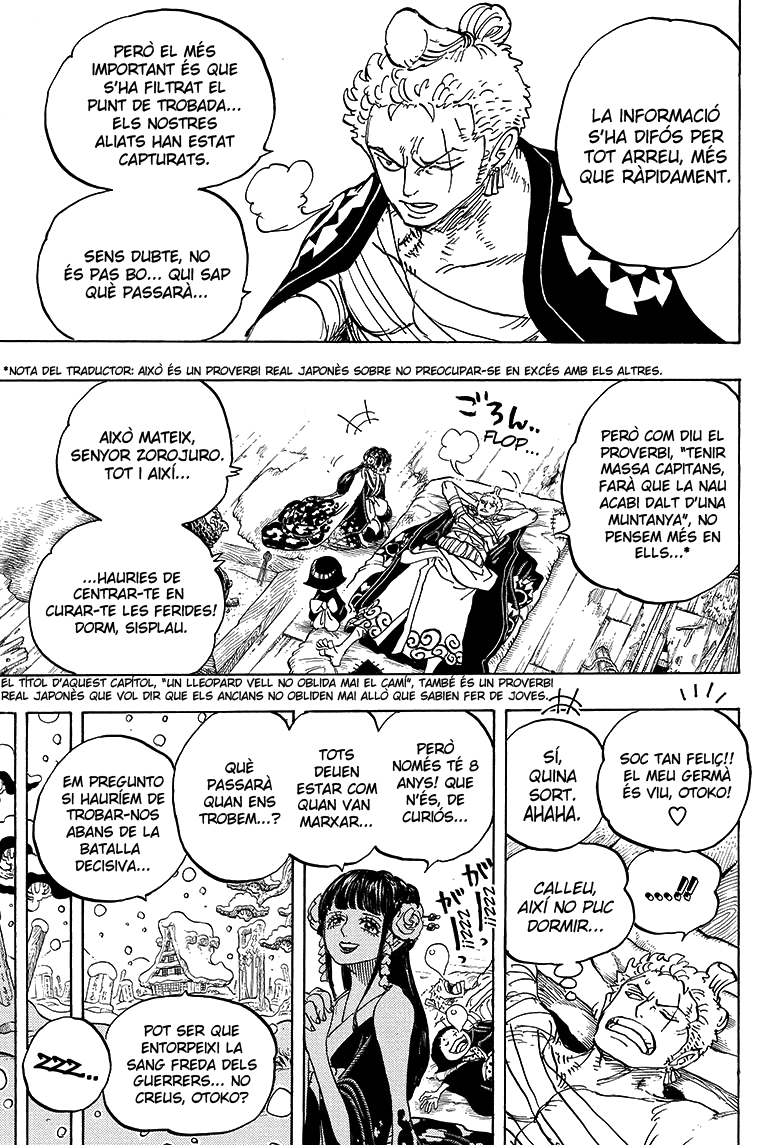 Read One Piece CAT Manga Online