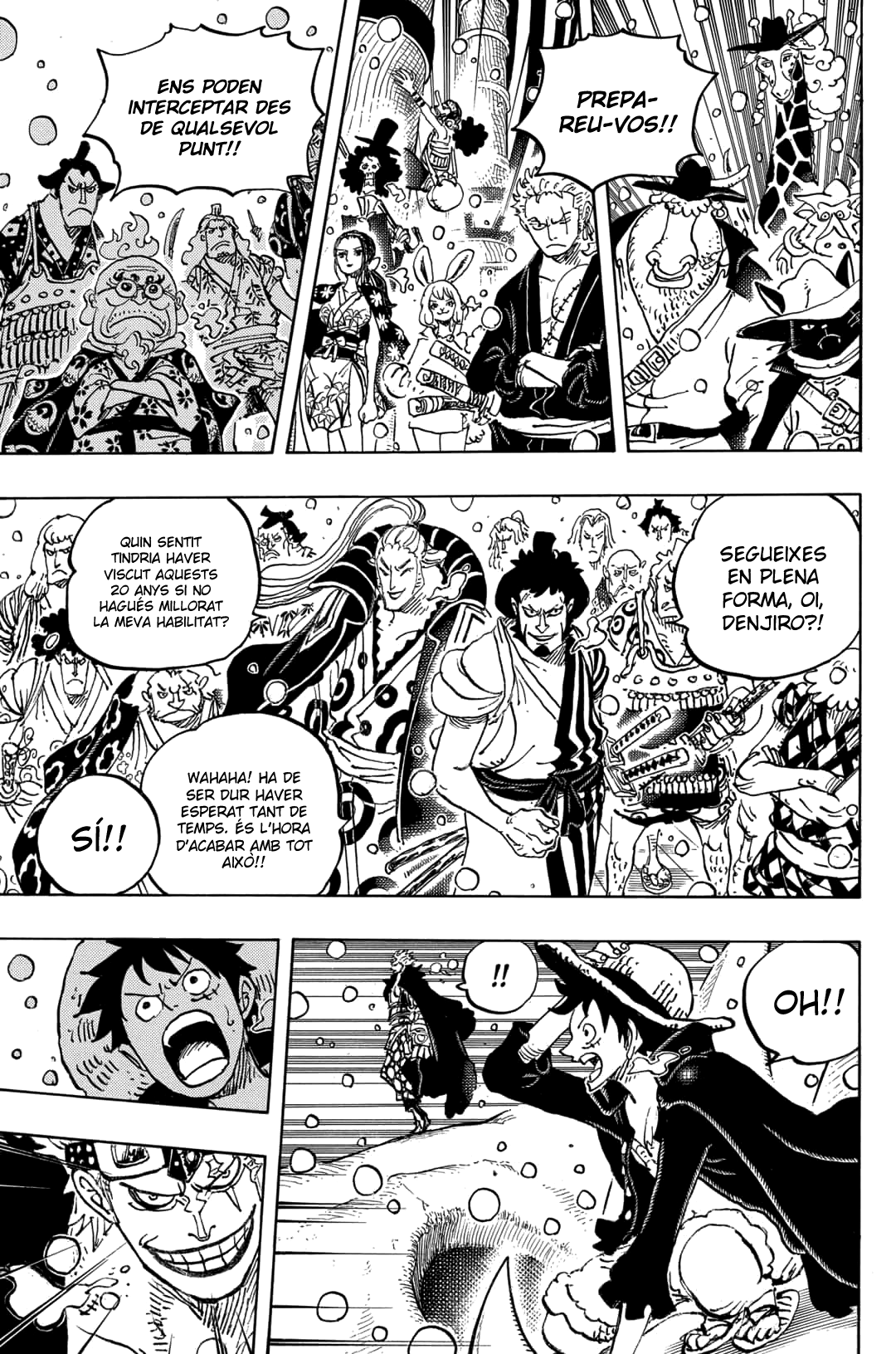 Read One Piece CAT Manga Online