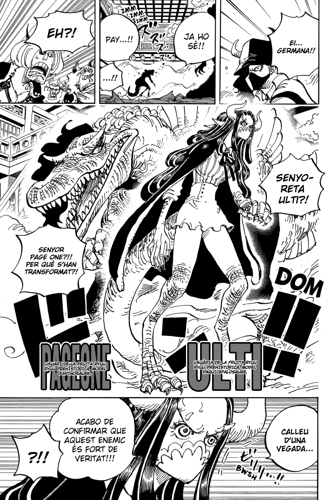 Read One Piece CAT Manga Online