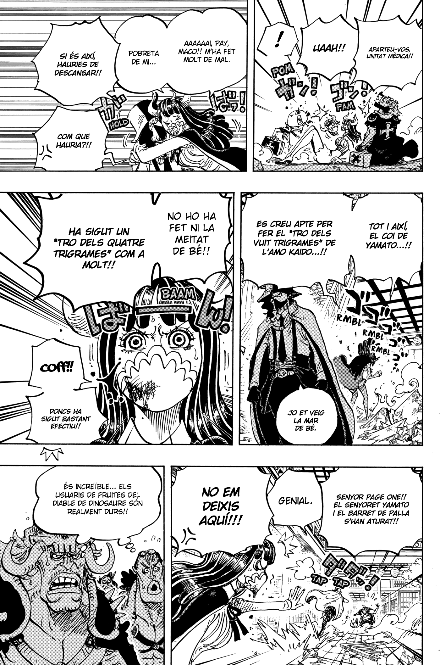 Read One Piece CAT Manga Online