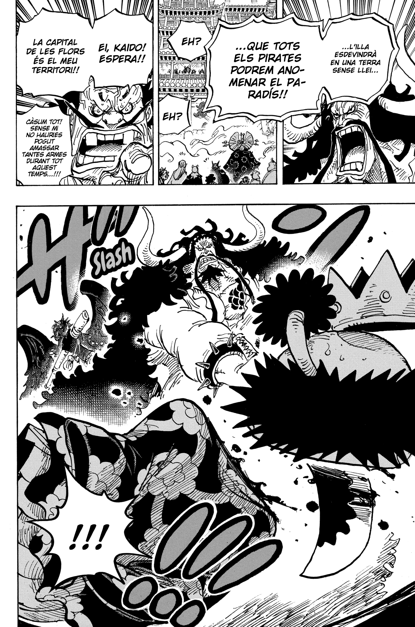Read One Piece CAT Manga Online