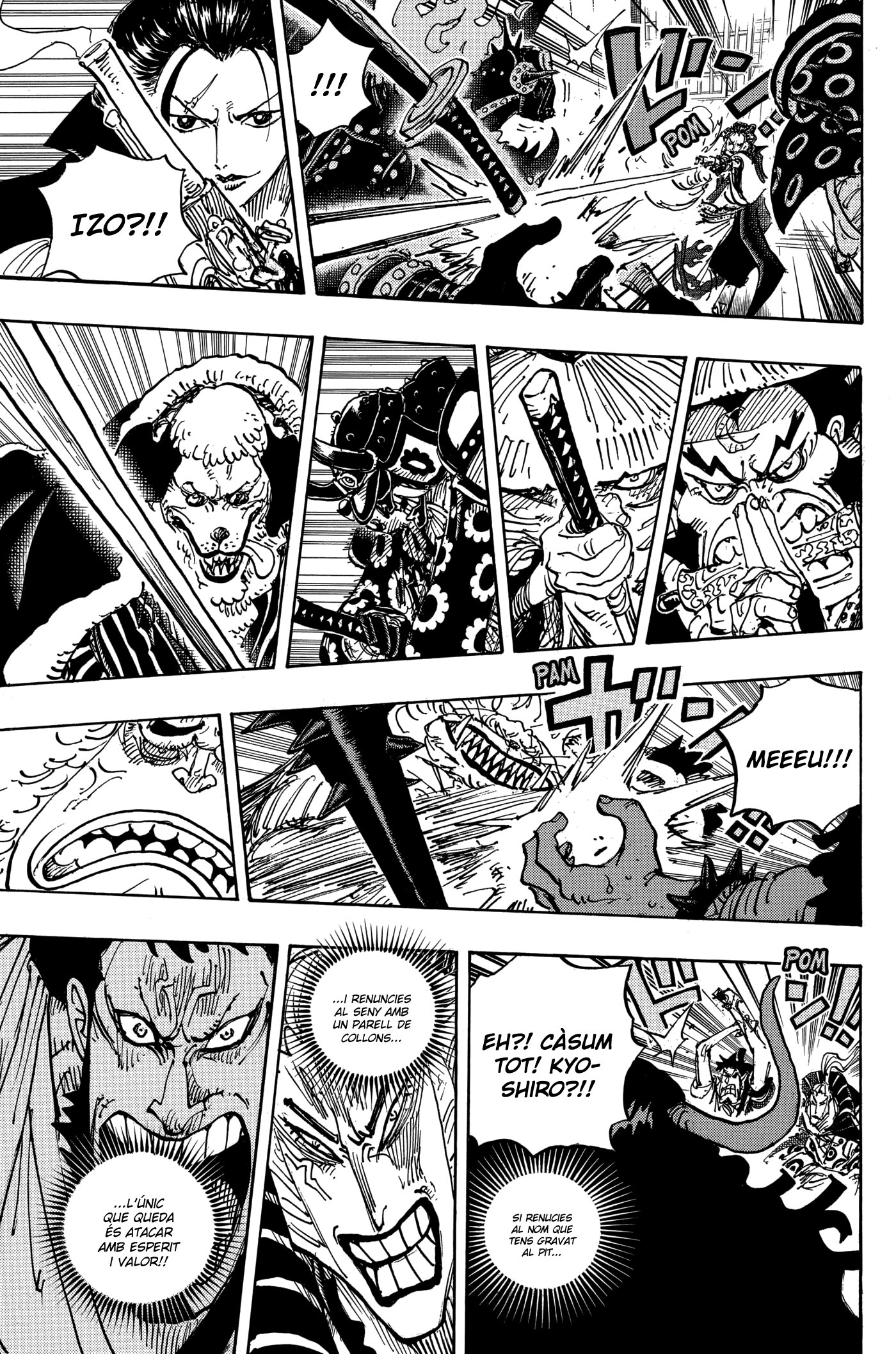 Read One Piece CAT Manga Online