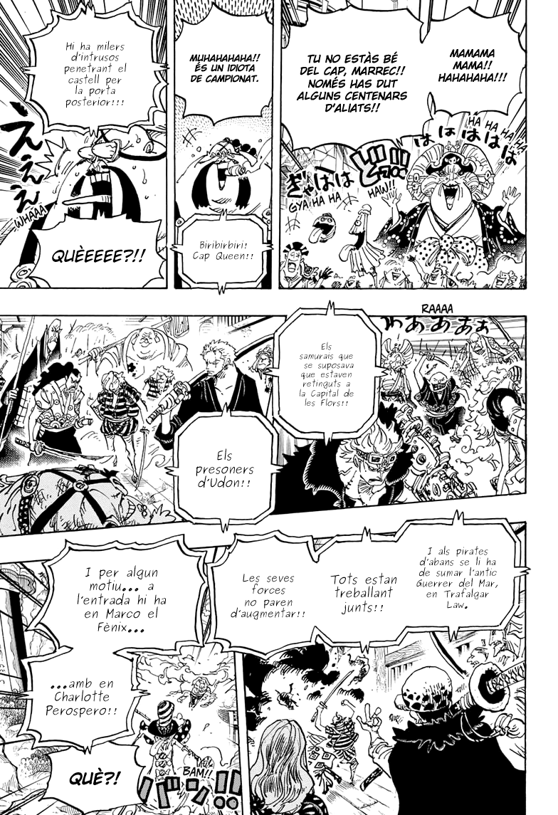 Read One Piece CAT Manga Online