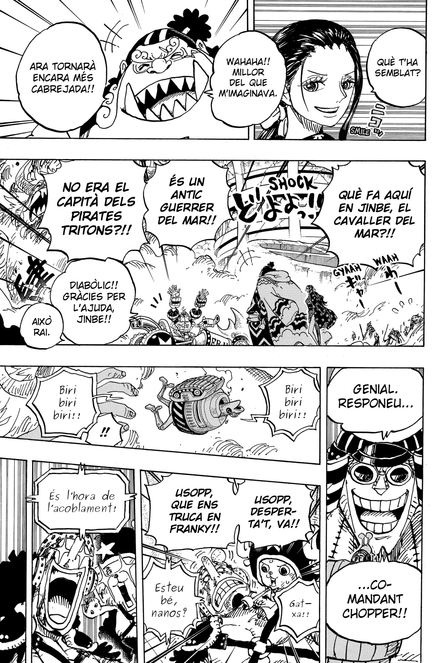 Read One Piece CAT Manga Online