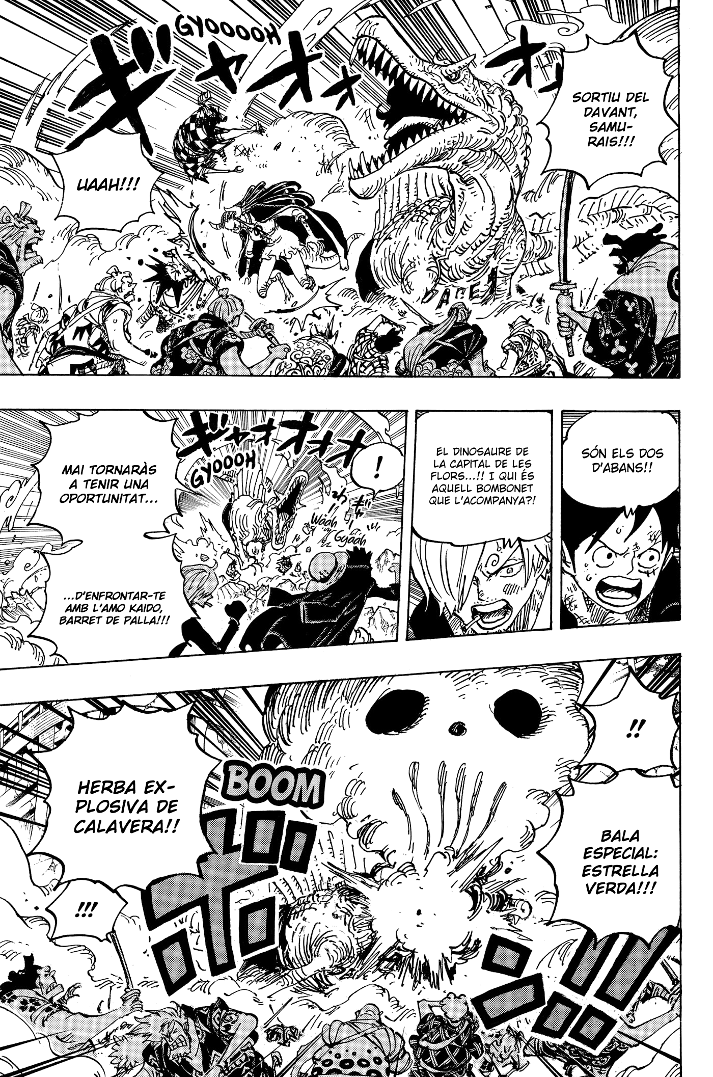 Read One Piece CAT Manga Online